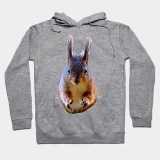 Give us a Nut mister! Hoodie